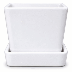Square Ceramic Planter with Tray