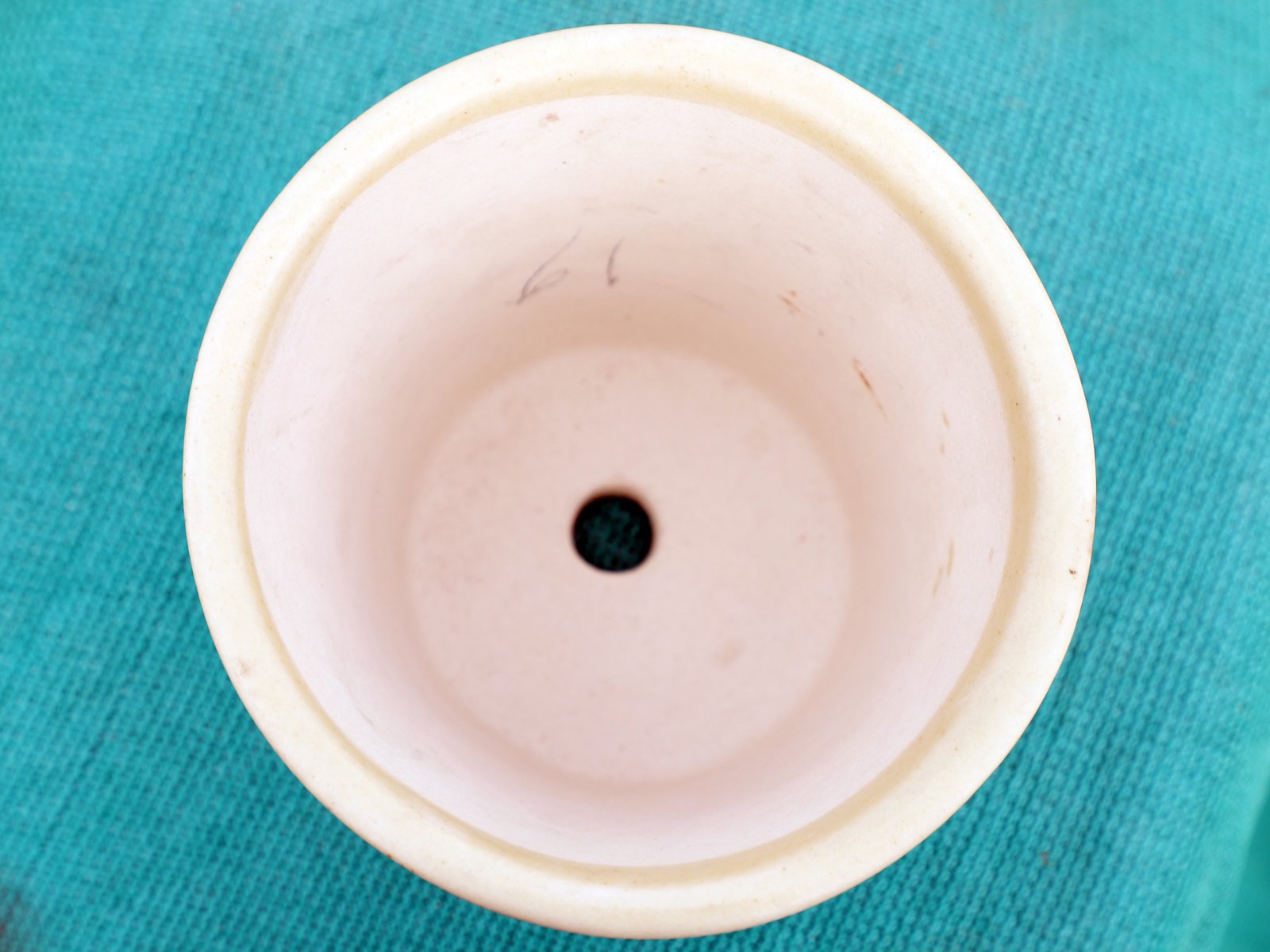 cream-ceramic-planter.jpg